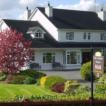 Lake Avenue House Ballyconnell  Extérieur photo