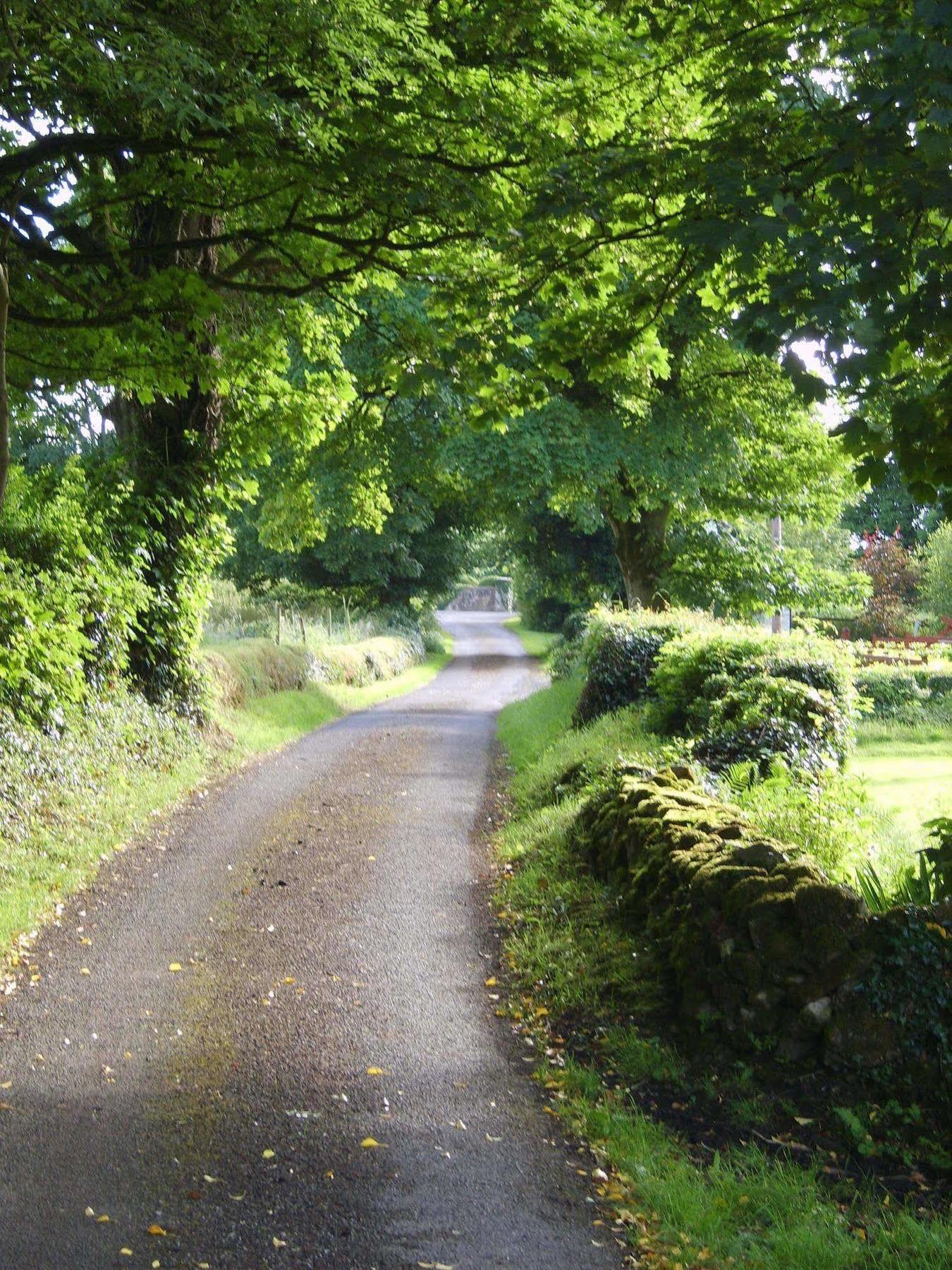 Lake Avenue House Ballyconnell  Extérieur photo